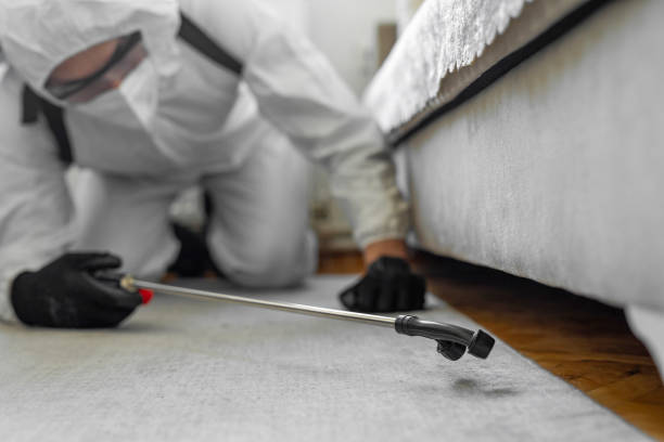 Professional Cockroach Control technician working in West Athens, CA