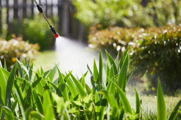 24/7 Emergency Cockroach Control experts in West Athens, CA